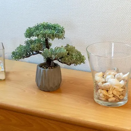 Krabbe * ノルデン